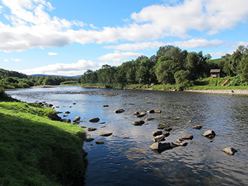 Privacy and Cookie Policy