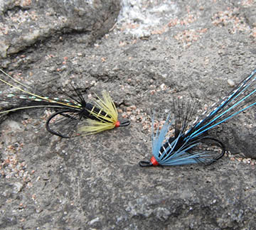 Terms and Conditions