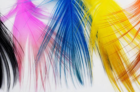 Signature Pheasant Rump Feathers