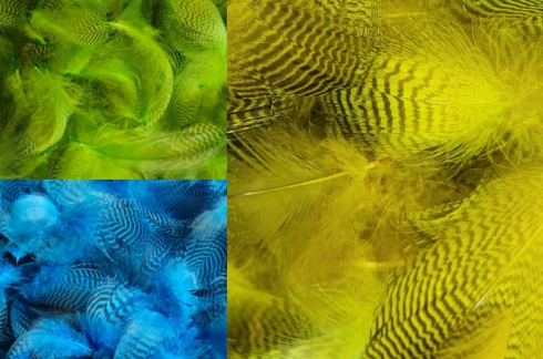 Dyed Teal Flank Feathers