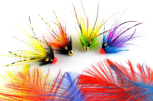 Signature Intruder Hackles