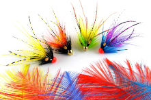 Signature Intruder Hackles