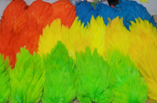 Signature Genetic Hen Saddles